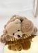Жіноча заколка Cute Bear (1800-01) Бежевий - 1800-01 фото 1