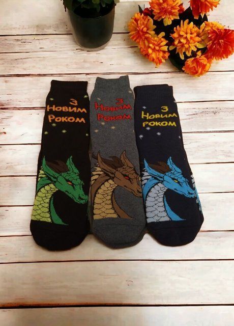 Набор мужских носков Dragon Year (1133-41-45) Комбинированный 41-45 1133-41-45 фото
